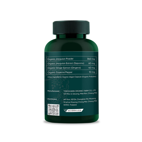 Jiaogulan & Krachai Dam Metabolic Support | Clean Energy Formula