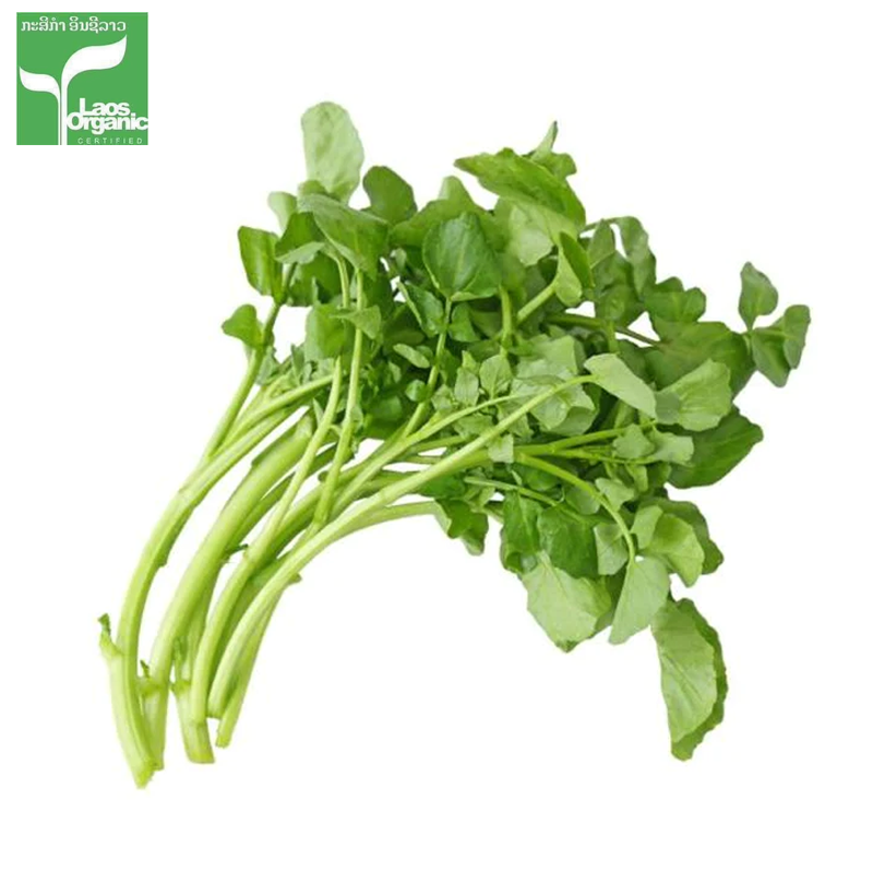 Organic Lao Spinach 500g