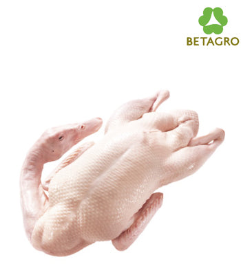 Duck Size M Price per kg (frozen)