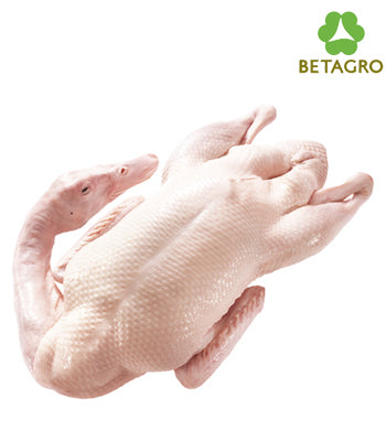 Duck Size L 2-2.6kg price per kg (frozen)