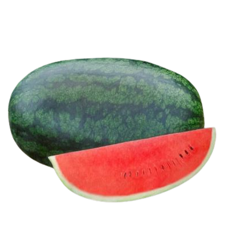 A whole Chintara watermelon with a green rind next to a slice of the watermelon showing the pink flesh.
