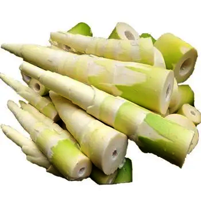 Bamboo Shoot per 1kg