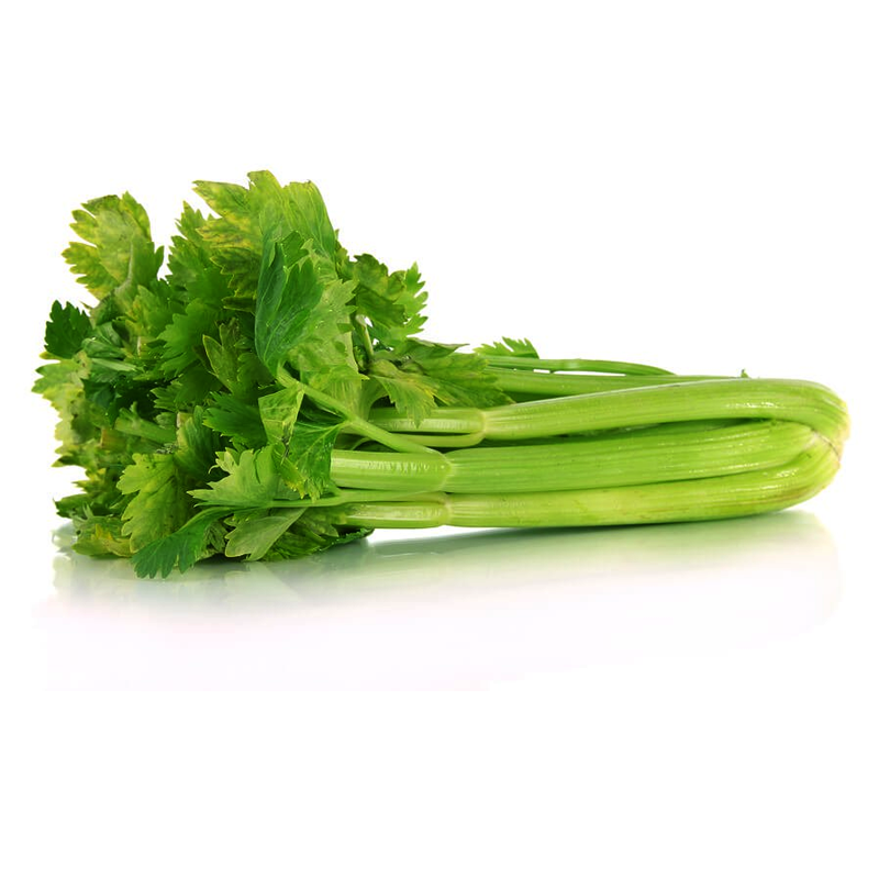 Fresh large celery stalk – vibrant green with crisp stems and leafy tops, displayed on a white background, sold per piece or per 1 kg.