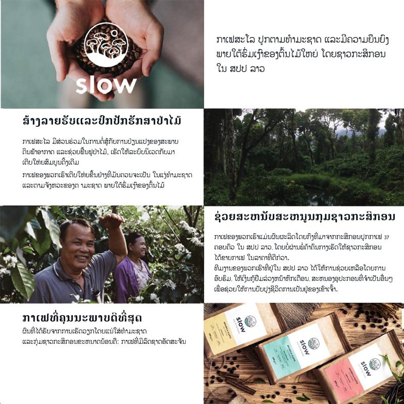 SLOW ຊາຊາອາຣາບີກາ ກາເຟຂົ້ວອ່ອນ (ດິນ) 200g