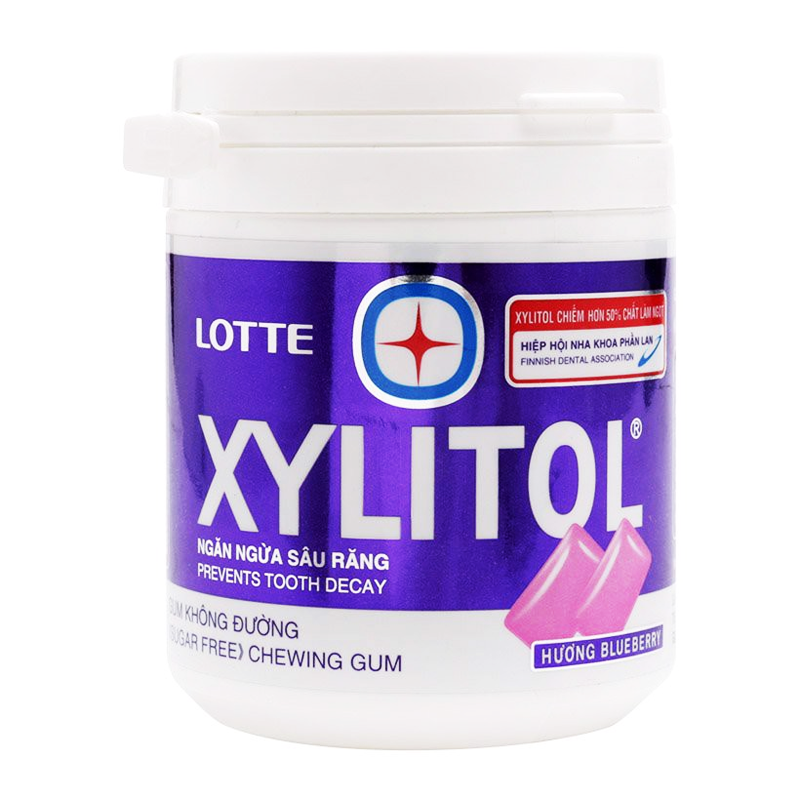 Lotte Xylitol Blueberry mint Gum 58g
