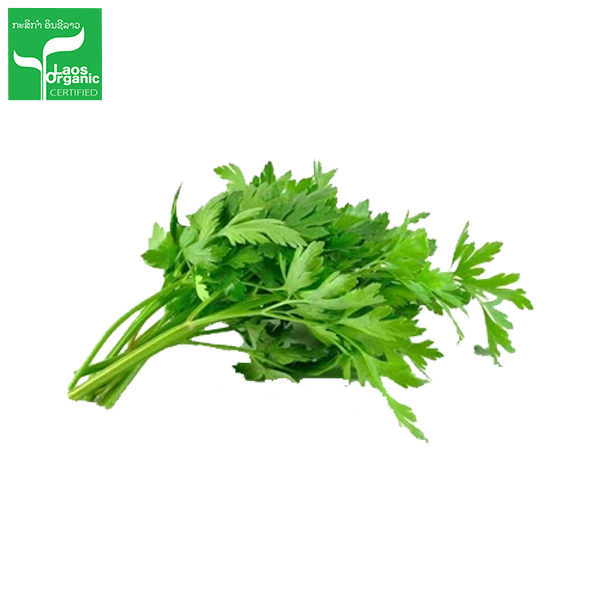 A bunch of fresh organic celery with green leaves and a bright white stalk, isolated on a white background with a 'Local Organic' label in the top right corner.