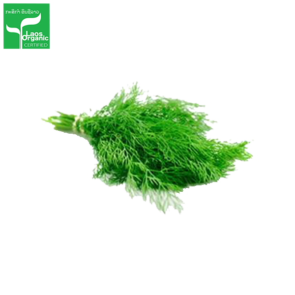 Organic Dill (per bundle)