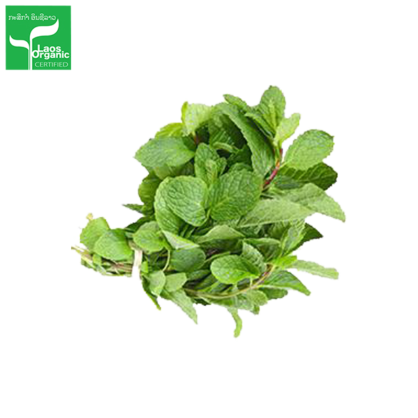 Organic Mint (per bundle)
