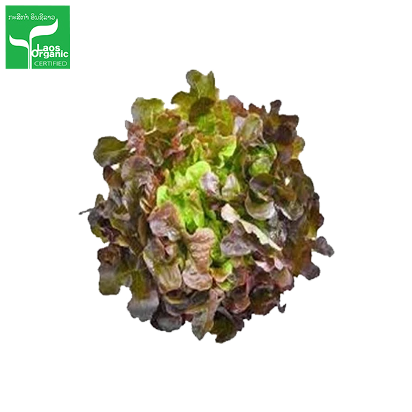 Organic Red Oak Salad 0.5kg