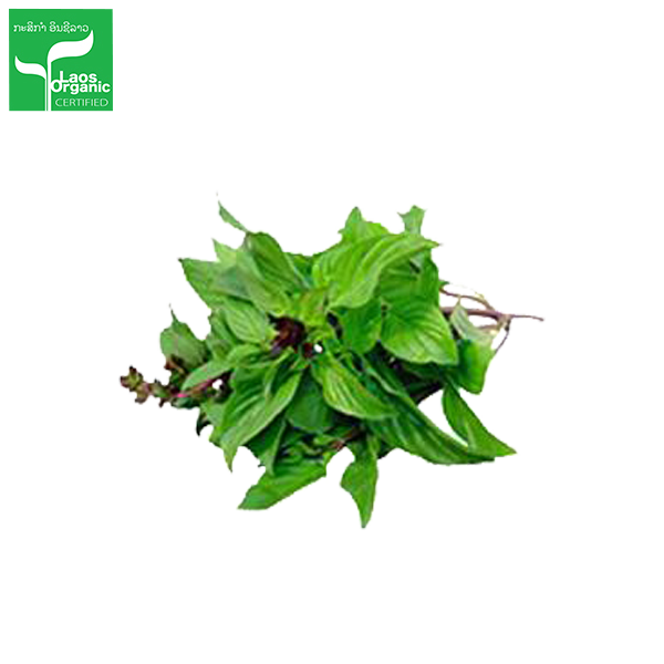 Organic Sweet Basil (per bundle)