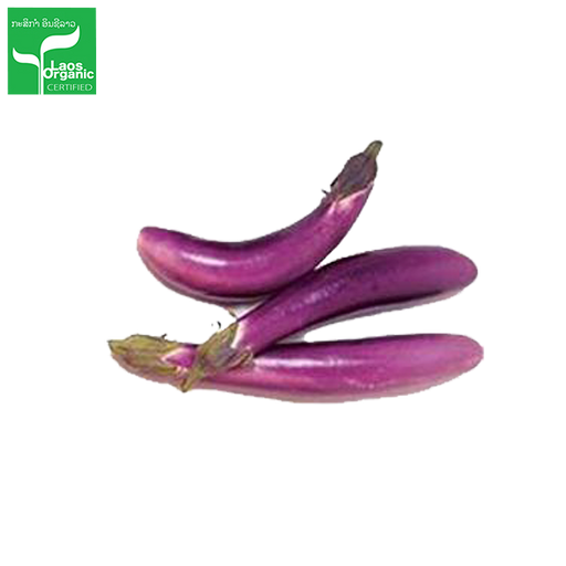 Organic Thin Purple Egg Plant 0.5kg