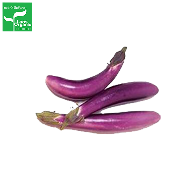 Organic Thin Purple Egg Plant 0.5kg