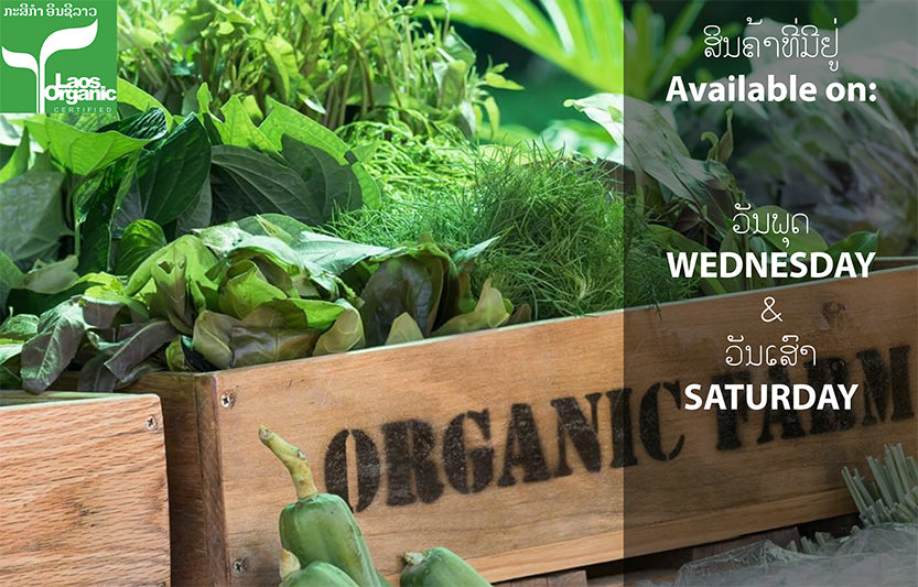 Organic Bananas per hand