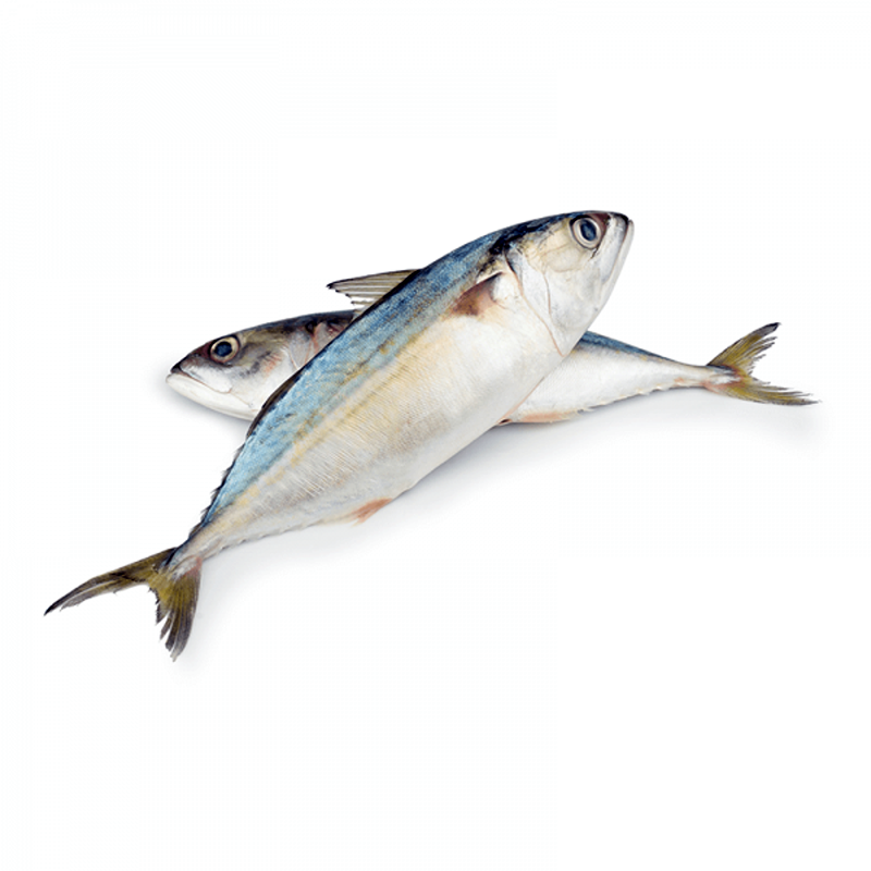 Mackerel per kg
