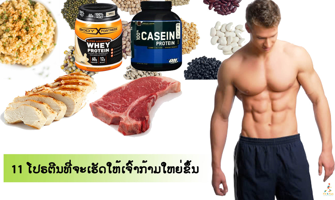 ໂປຣຕີນ 11 ຊະນິດ ທີ່ຊ່ວຍເສີມສ້າງກ້າມເນື້ອໄດ້ດີທີ່ສຸດ