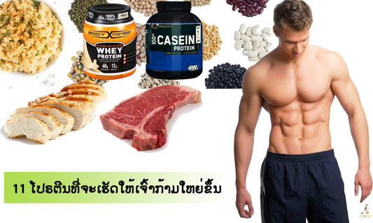 ໂປຣຕີນ 11 ຊະນິດ ທີ່ຊ່ວຍເສີມສ້າງກ້າມເນື້ອໄດ້ດີທີ່ສຸດ
