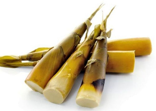 10 ສັບພະຄຸນຂອງໜໍ່ໄມ້....ປະໂຫຍດໃນການຮັກສາໂລກ(10 properties of bamboo shoots ... Benefits in treating diseases)