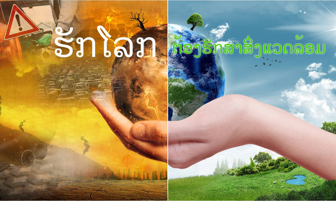 ຜົນກະທົບຈາກນ້ຳມັນເຊື້ອໄຟ