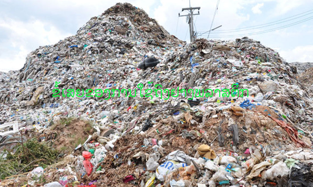 ຂໍ້ເສຍຂອງການໃຊ້ຖົງຢາງພລາສຕິກ