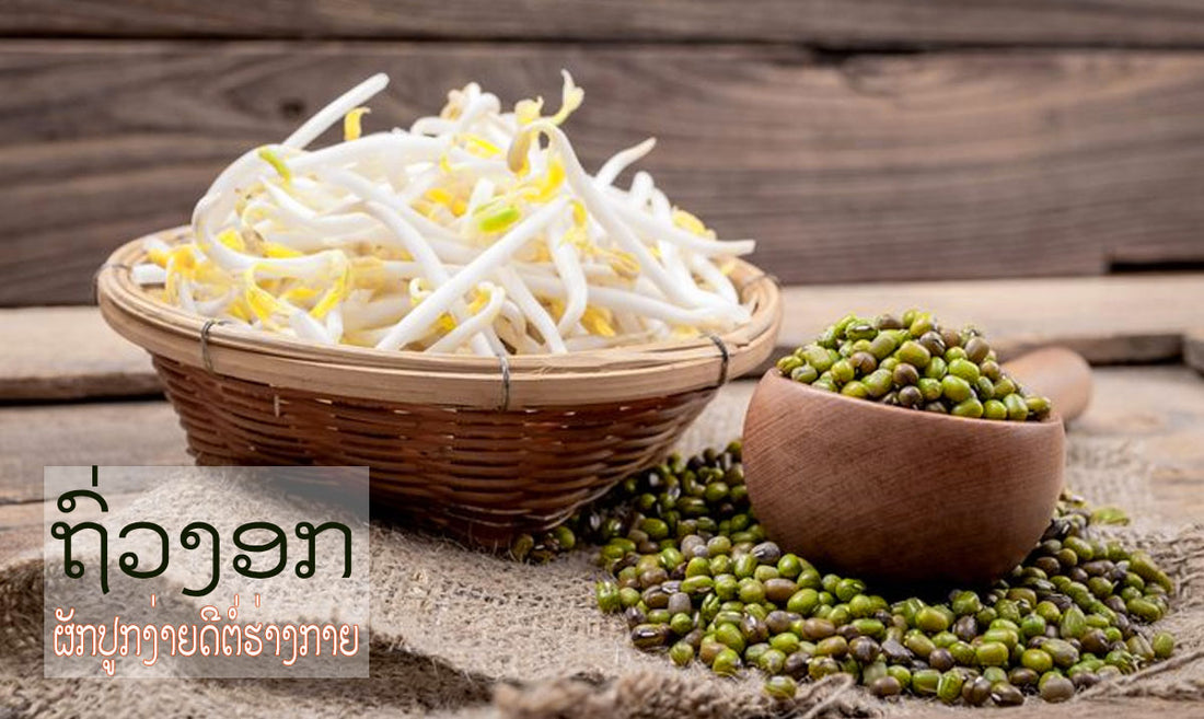 ສັບພະຄຸນຂອງຖົ່ວງອກ