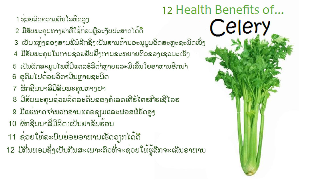 ສັບພະຄຸນຂອງຜັກຊີນນາລີ່