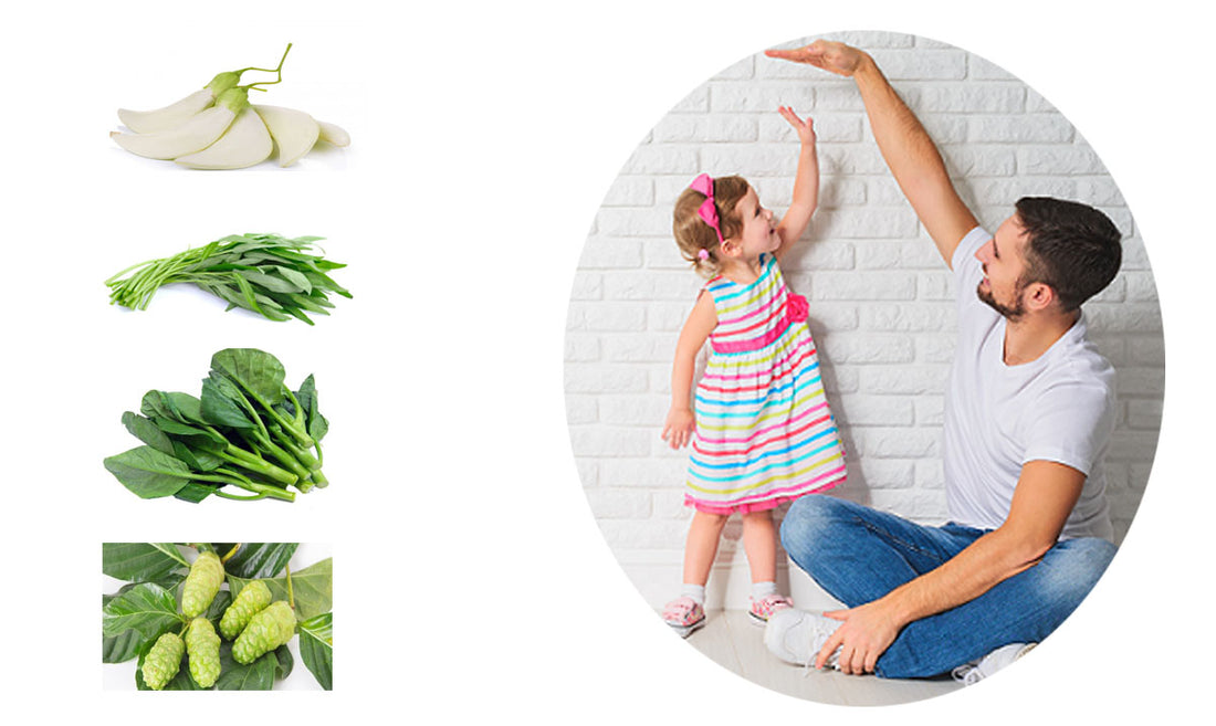 ຜັກ 5 ຊະນິດເພີ່ມຄວາມສູງ