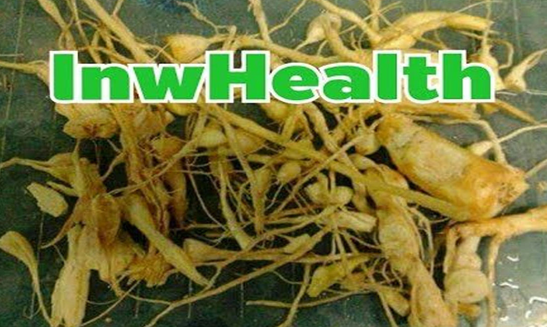 ຮາກຜັກຕຳນີນສາມາດແກ້ໄຂ້ສະມັດຕະພາບທາງເພດ