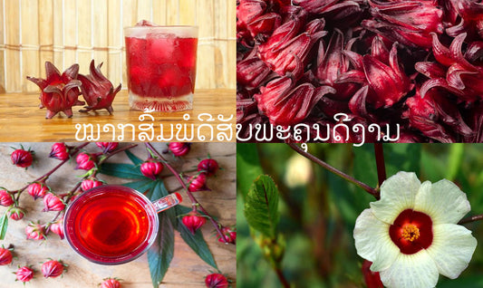 ໝາກສົ້ມພໍດີສັບພະຄຸນດີງາມ