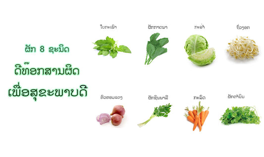 ຜັກ 8 ຊະນິດດີທ໊ອກສານຜິດເພຶ່ອສຸຂະພາບດີ