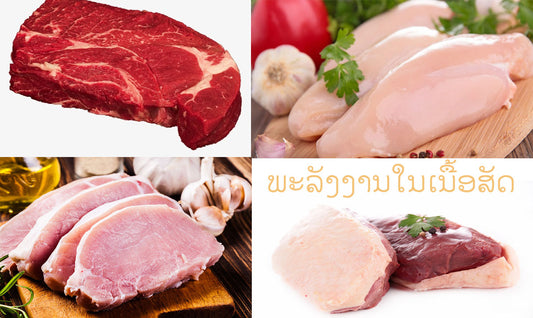 ພະລັງງານໃນເນື້ອສັດ