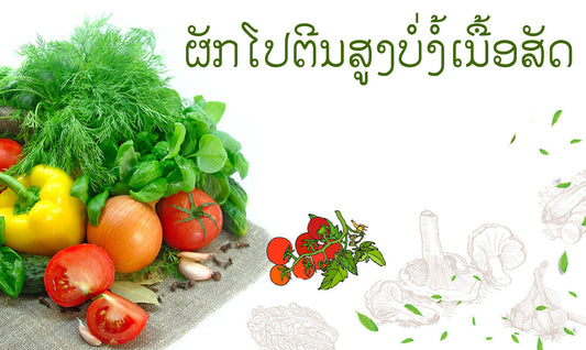 ອາຫານໂປຕີນສູງສຳລັບສາຍເຈແລະສາຍມັງສະວິຮັດ