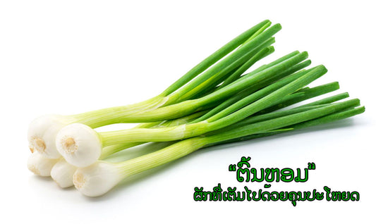 10 ປະໂຫຍດດີໆ ຈາກຕົ້ນຫອມ