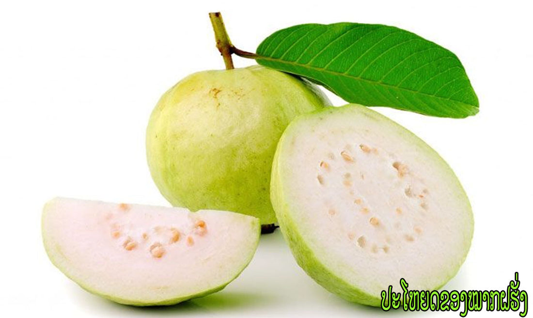 ປະໂຫຍດຂອງໝາກຝຮັ່ງ