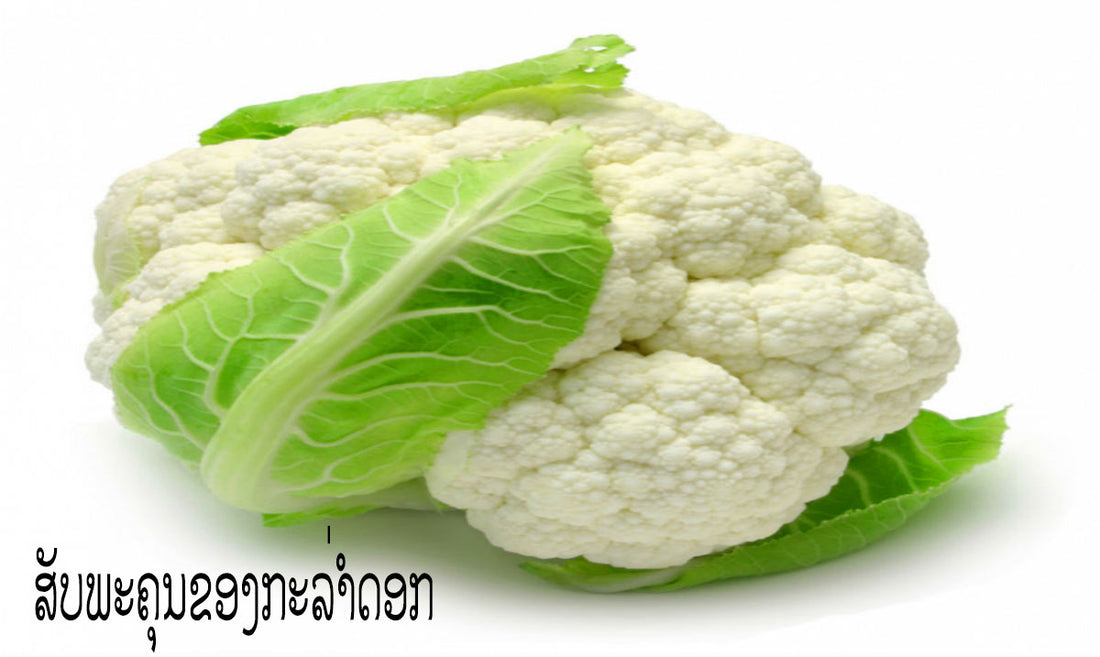 ສັບພະຄຸນຂອງກະລ່ຳດອກ