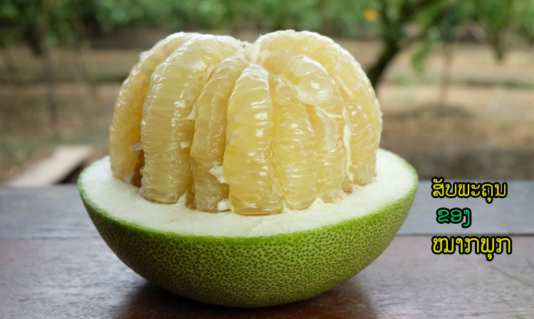 4 ຄຸນປະໂຫຍດ ແລະ ສັບພະຄຸນຂອງໝາກພຸກ