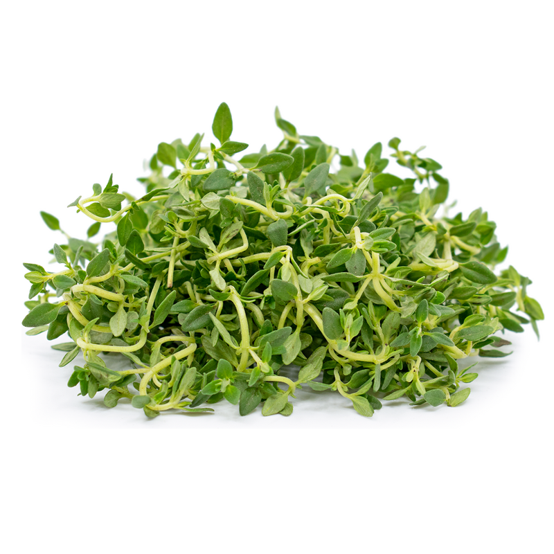 KIRK'S Garden  Thyme 20g
