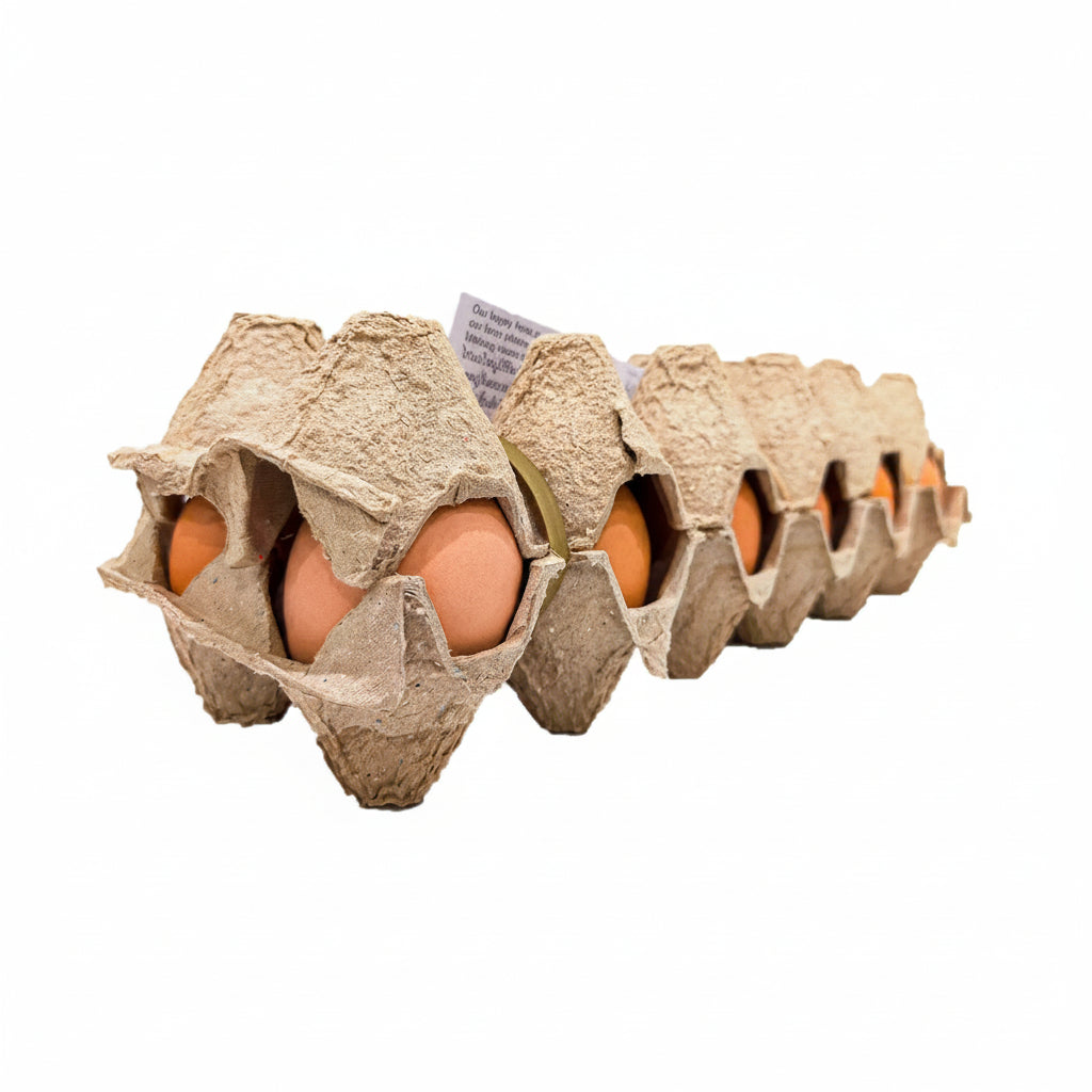 A row of brown eggs nestled in a long, segmented cardboard carton on a plain white background.