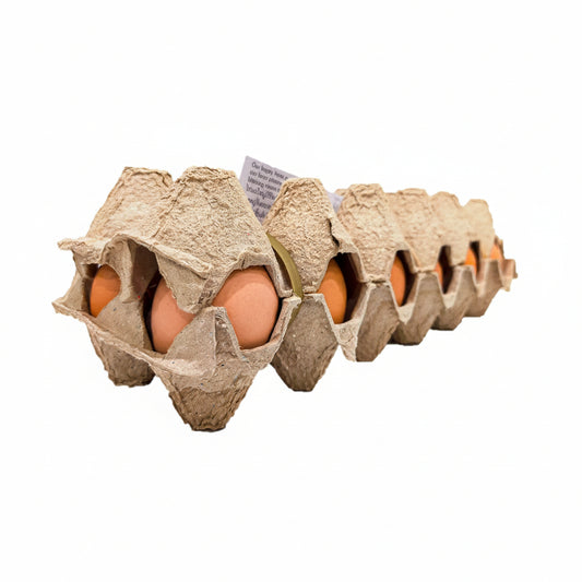 A row of brown eggs nestled in a long, segmented cardboard carton on a plain white background.
