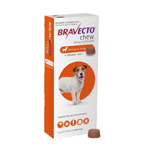 Bravecto chew packaging for small dogs on a white background