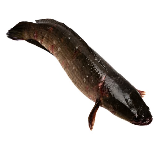 neck fish Price Per kg