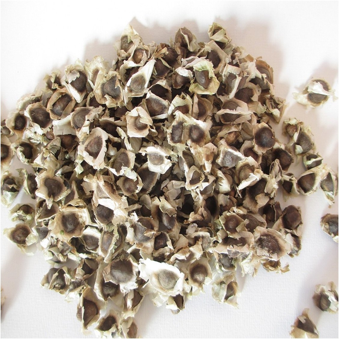 Moringa Seeds 100g – Natural Superfood by Ang