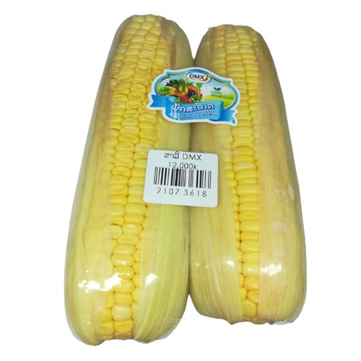 Corn 2pcs