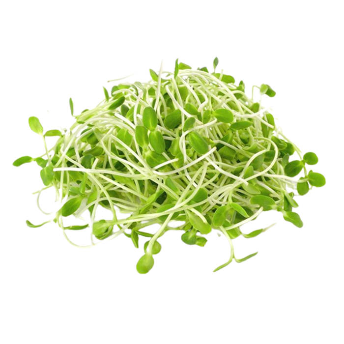 Sunflower Sprouts 200g — ShoppingD Service Platform