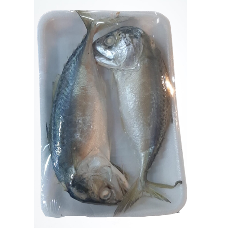 Mackerel pack of 2pcs