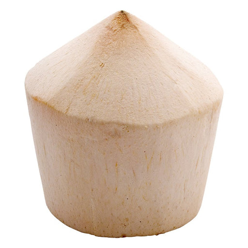 Coconut 1pc