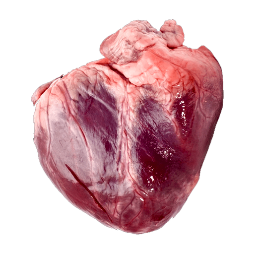 Beef Heart per piece ( 600g - 900g )