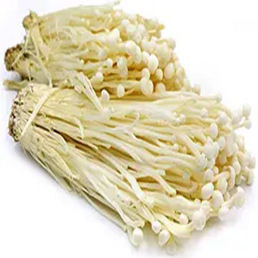 A bundle of fresh enoki mushrooms bound by a string, isolated on a white background.
