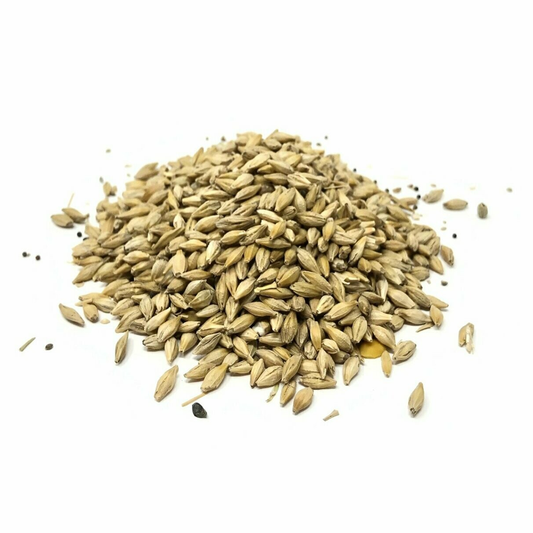FARM VALLEY BARLEY SEED 500G