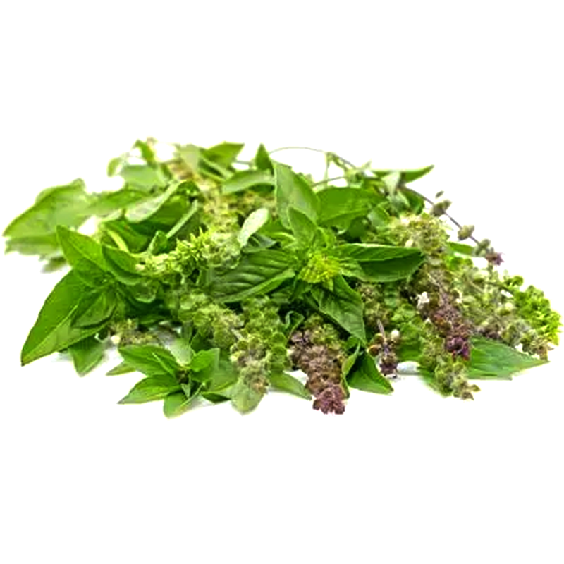 Hairy Basil per bundle 50g-100g — Shopping-D Service Platform