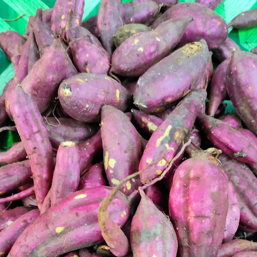Organic Japanese Sweet Potato from Paksong